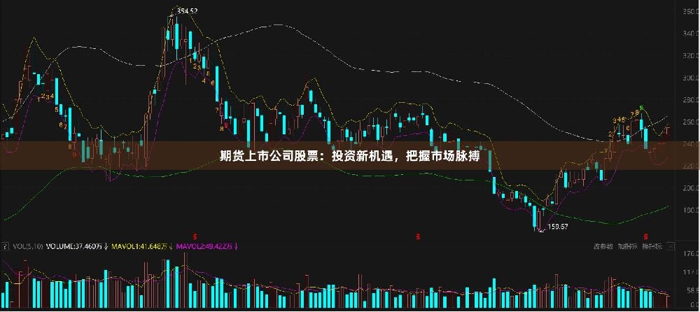 期货上市公司股票：投资新机遇，把握市场脉搏